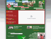 Tablet Screenshot of gites-burguburu.com